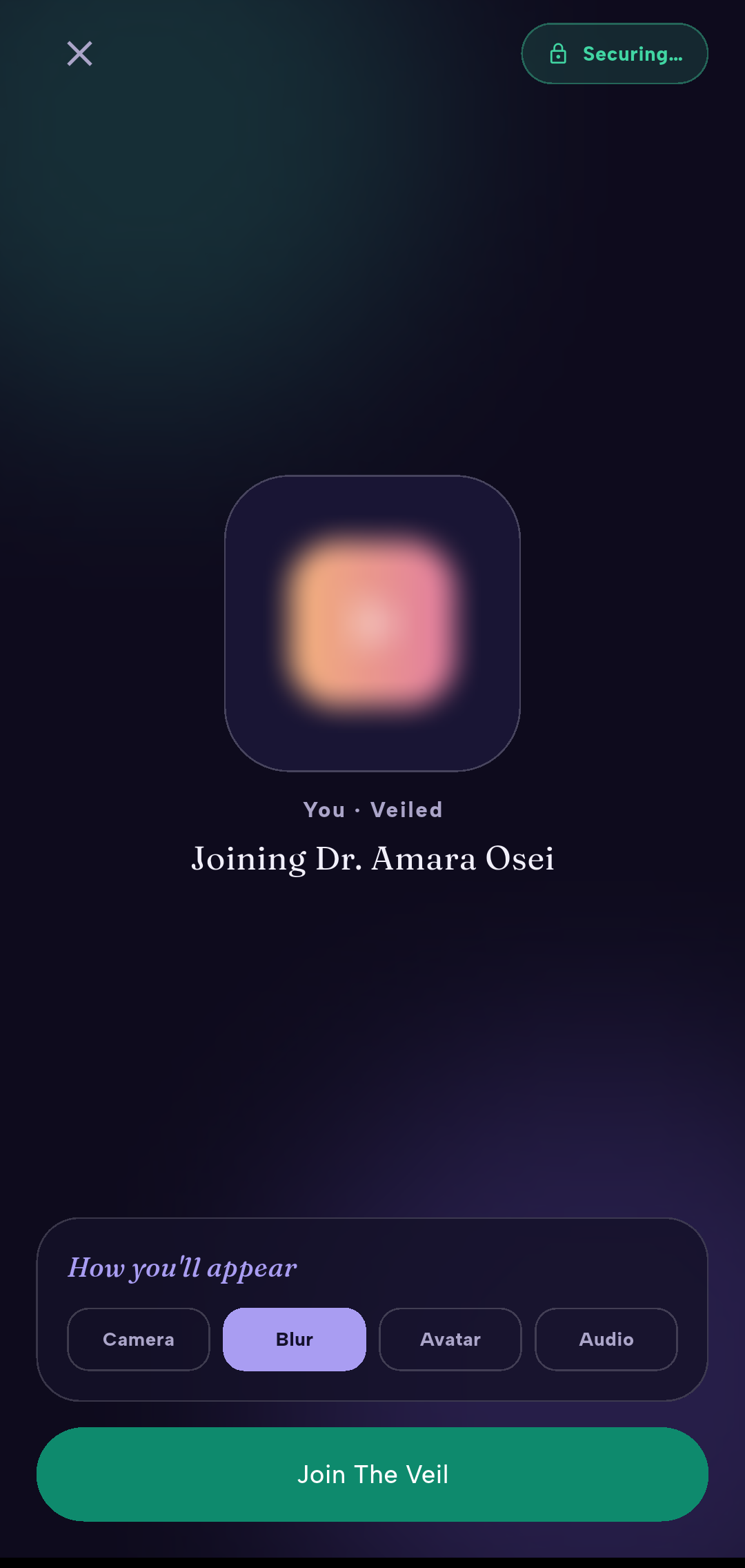 The Veil pre-join — how you'll appear: camera, blur, avatar or audio